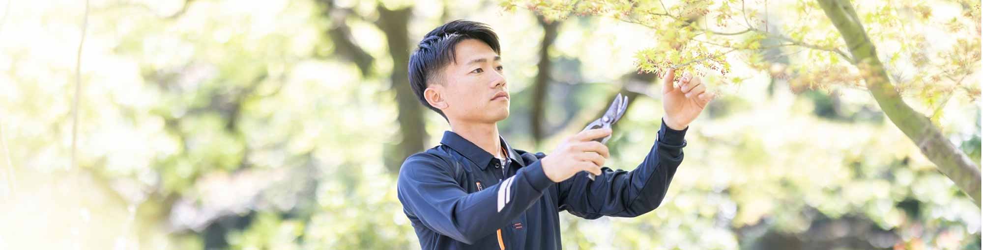 風を感じる庭づくり 自然の美しさを最大限に生かした剪定