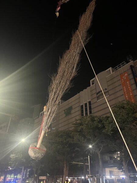 ビフォー画像